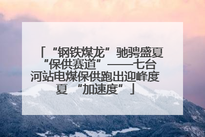 “钢铁煤龙”驰骋盛夏 “保供赛道”——七台河站电煤保供跑出迎峰度夏 “加速度”