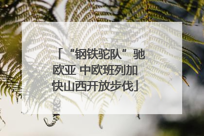 “钢铁驼队”驰欧亚 中欧班列加快山西开放步伐