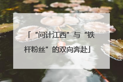 “问计江西”与“铁杆粉丝”的双向奔赴