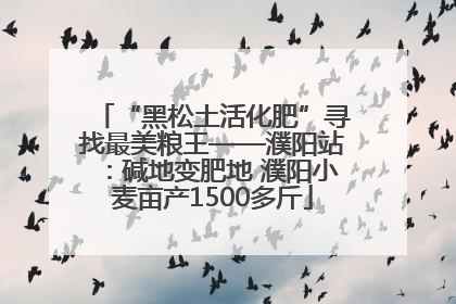 “黑松土活化肥”寻找最美粮王——濮阳站：碱地变肥地 濮阳小麦亩产1500多斤