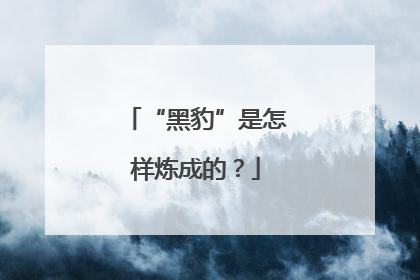 “黑豹”是怎样炼成的？