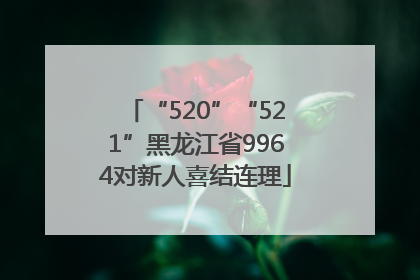 “520”“521”黑龙江省9964对新人喜结连理