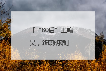 “80后”王鸣昊，新职明确