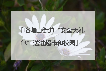 珞珈山街道“安全大礼包”送进超市和校园
