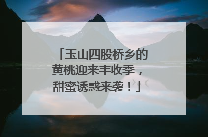 玉山四股桥乡的黄桃迎来丰收季，甜蜜诱惑来袭！