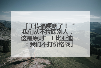 王传福哽咽了！“我们从不拉踩别人，这是原则”！比亚迪：我们不打价格战