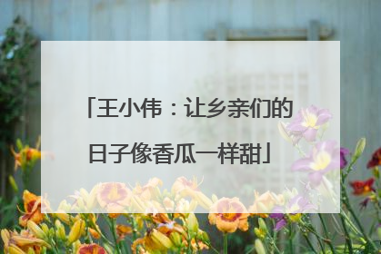 王小伟：让乡亲们的日子像香瓜一样甜