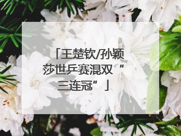 王楚钦/孙颖莎世乒赛混双“三连冠”