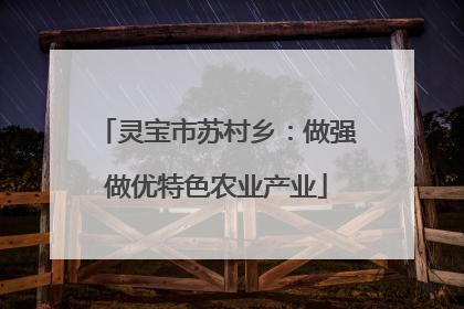灵宝市苏村乡：做强做优特色农业产业
