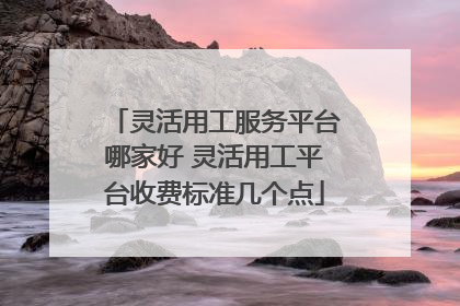 灵活用工服务平台哪家好 灵活用工平台收费标准几个点