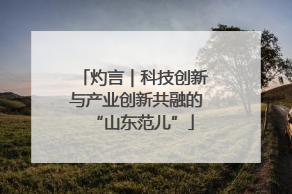 灼言｜科技创新与产业创新共融的“山东范儿”