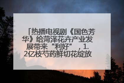 热播电视剧《国色芳华》给菏泽花卉产业发展带来“利好”，1.2亿枝芍药鲜切花绽放“国色芳华”