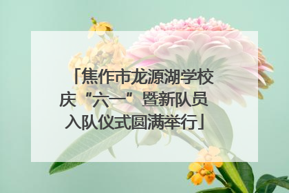 焦作市龙源湖学校庆“六一”暨新队员入队仪式圆满举行