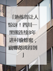 熟练得让人惊讶！四川一黑熊连续3年进村偷蜂蜜，藏哪都找得到