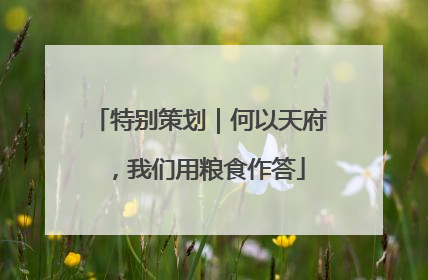 特别策划｜何以天府，我们用粮食作答