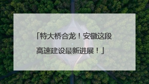 特大桥合龙！安徽这段高速建设最新进展！