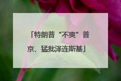 特朗普“不爽”普京、猛批泽连斯基