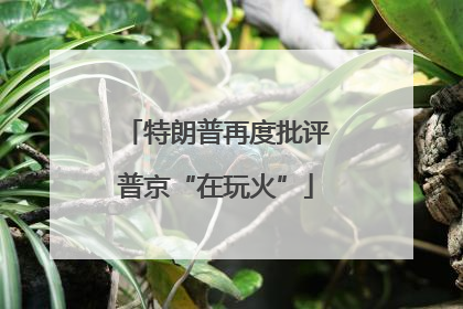 特朗普再度批评普京“在玩火”