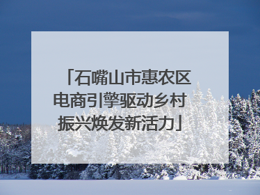 石嘴山市惠农区电商引擎驱动乡村振兴焕发新活力