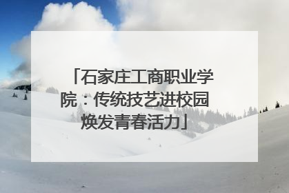 石家庄工商职业学院：传统技艺进校园焕发青春活力