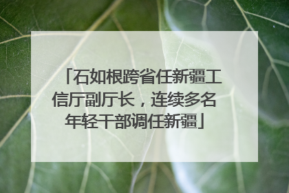 石如根跨省任新疆工信厅副厅长，连续多名年轻干部调任新疆