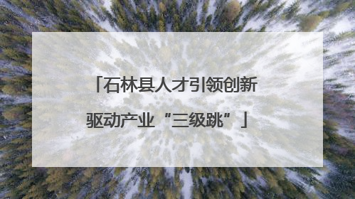 石林县人才引领创新驱动产业“三级跳”