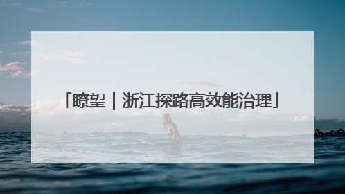 瞭望｜浙江探路高效能治理