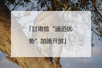 甘肃借“通道优势”加速开放