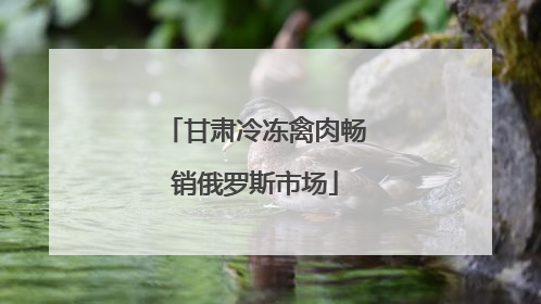 甘肃冷冻禽肉畅销俄罗斯市场