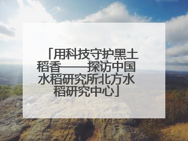用科技守护黑土稻香——探访中国水稻研究所北方水稻研究中心