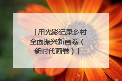 用光影记录乡村全面振兴新画卷（新时代画卷）