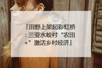 田野上架起彩虹桥：三亚水蛟村“农田+”激活乡村经济