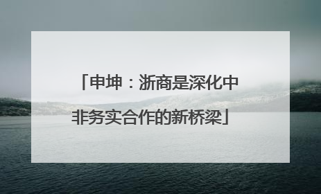 申坤：浙商是深化中非务实合作的新桥梁