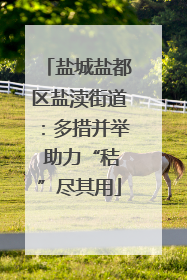 盐城盐都区盐渎街道：多措并举 助力“秸”尽其用