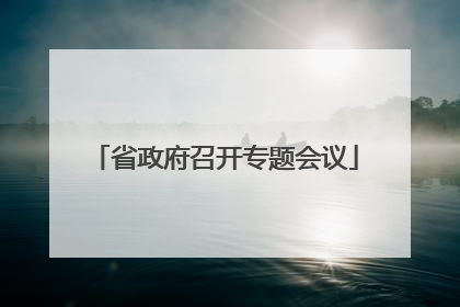省政府召开专题会议