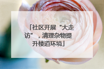 社区开展“大走访”，清理杂物提升楼道环境