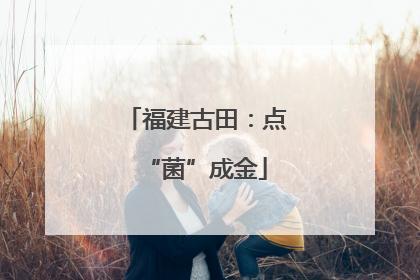 福建古田：点“菌”成金