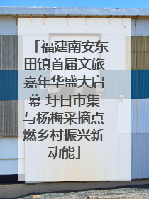 福建南安东田镇首届文旅嘉年华盛大启幕 圩日市集与杨梅采摘点燃乡村振兴新动能