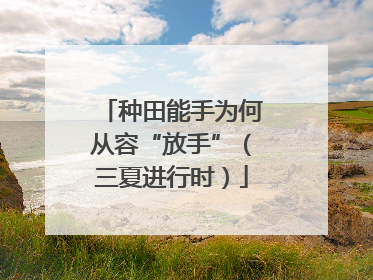 种田能手为何从容“放手”（三夏进行时）