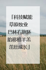 科技赋能草原牧业 巴林右旗胚胎移植羊羔茁壮成长