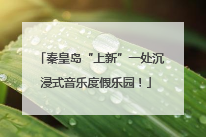 秦皇岛“上新”一处沉浸式音乐度假乐园！