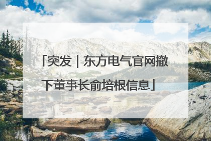 突发｜东方电气官网撤下董事长俞培根信息