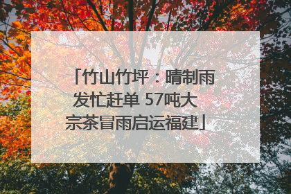 竹山竹坪：晴制雨发忙赶单 57吨大宗茶冒雨启运福建