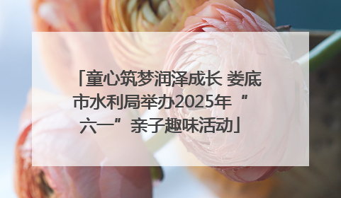 童心筑梦润泽成长 娄底市水利局举办2025年“六一”亲子趣味活动