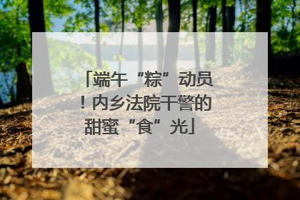 端午“粽”动员！内乡法院干警的甜蜜“食”光