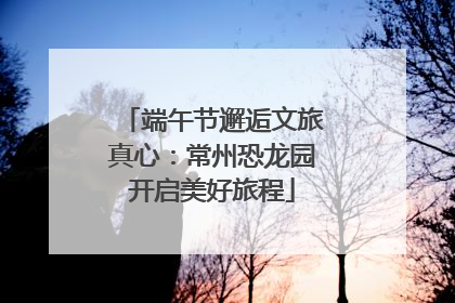 端午节邂逅文旅真心：常州恐龙园开启美好旅程