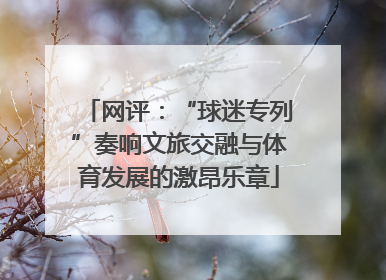 网评：“球迷专列”奏响文旅交融与体育发展的激昂乐章