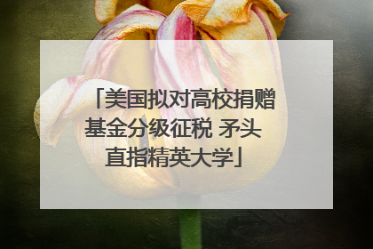 美国拟对高校捐赠基金分级征税 矛头直指精英大学