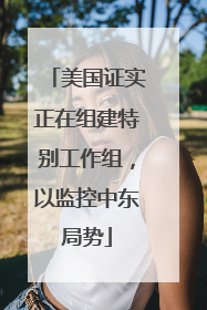 美国证实正在组建特别工作组，以监控中东局势