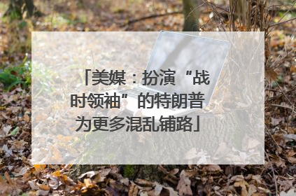美媒：扮演“战时领袖”的特朗普为更多混乱铺路